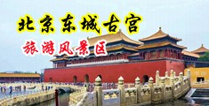 免费搞B网站中国北京-东城古宫旅游风景区